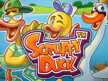 Scruffy Duck